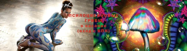 герыч Лагань