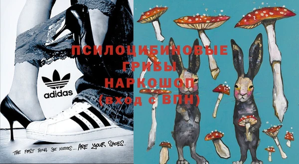 2c-b Куйбышев