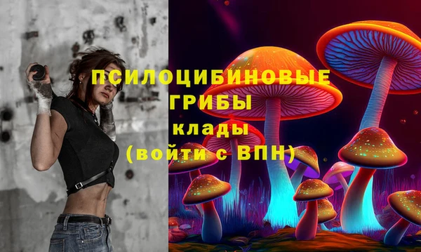 2c-b Куйбышев