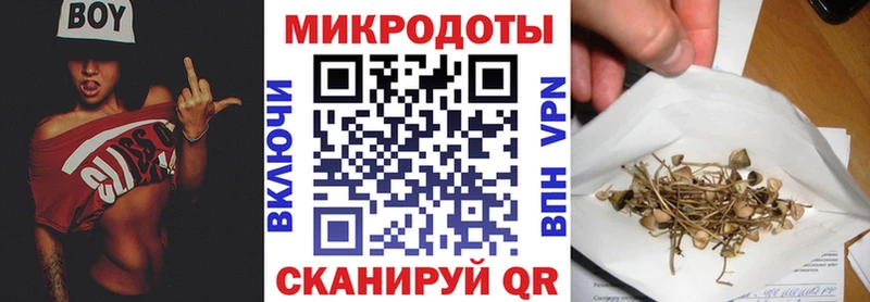 Купить закладки  Мариинский Посад  Псилоцибиновые грибы мицелий 